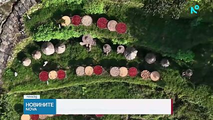 Когато реколтата се превърне в изкуство: Есенна традиция в Китай
