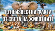 10 неизвестни факта от света на животните