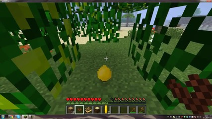 Minecraft zavra6teneto na tropicite