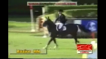 Horse Jumping - All Star