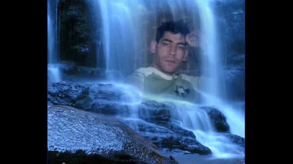 lov4ancial beni yanina