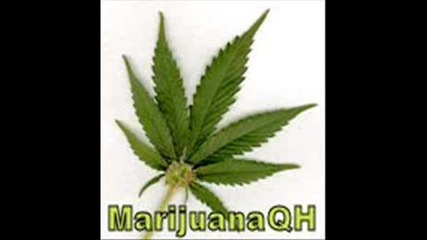 I Doser - Marihuana
