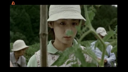 Гората на Могари (mogari no Mori) - tsr.