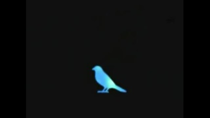 Blue bird - (english Version) by Emma Cherina