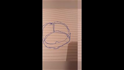 2024-12-07-182327374.mp4