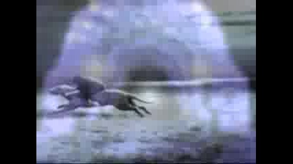 Dj Manta - Holding On