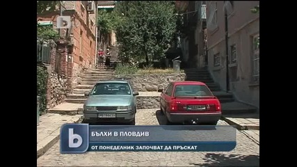 Бълхи нападнаха Пловдив