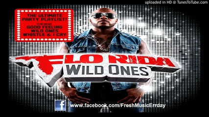 Flo Rida - Broke It Down ( Wild Ones)