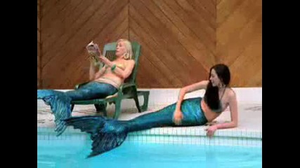 Toronto Zoo Mermaids
