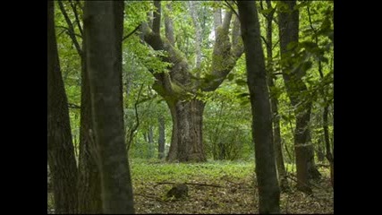 Рай На Земята - България