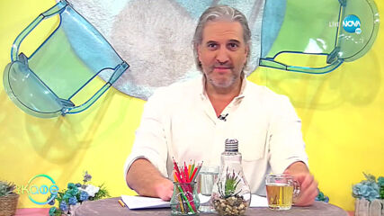 Фрустрация - Домашни любимци каляват волята си - „На кафе” (24.03.2021)