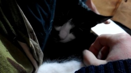 Vid_20170222_192421