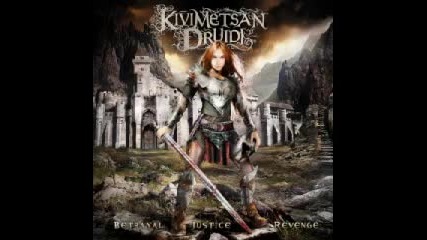 Kivimetsan Druidi - The Visitor 