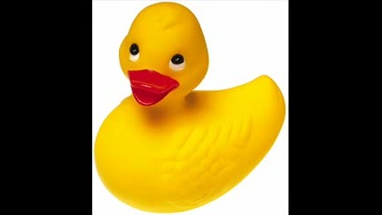 the crazy duck song