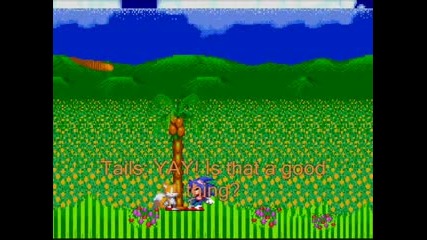 Sonic The Hedgehog