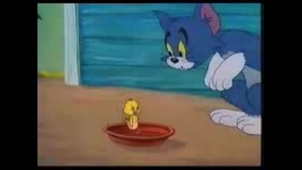 Tom & Jerry /тъжното пате/
