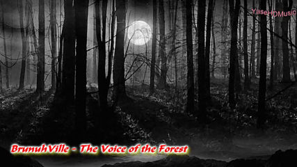 @ Brunuh Ville - The Voice of the Forest @ H D