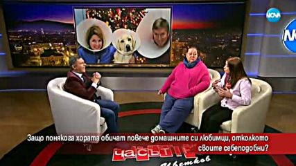 Защо понякога обичаме повече домашните си любимци, отколкото хората?