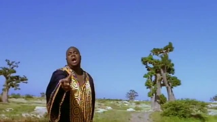 Big Bub - Zoom 