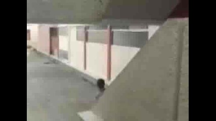 Bruno - Parkour