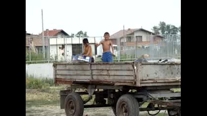 Цигани На Борсата В Плодовитово