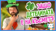 ЗАЩО детелината е на късмет?