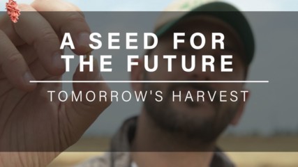 A Seed For Tomorrow