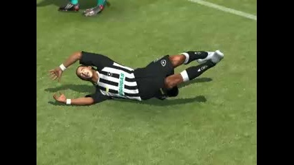 Bug pes 2009