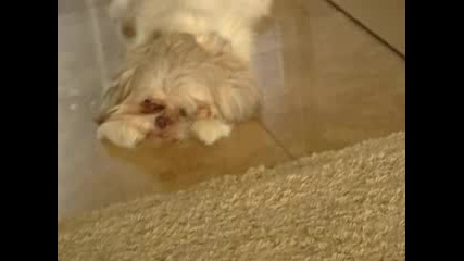 Falcor - The Urinator