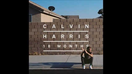 Calvin Harris feat. Tinie Tempah - Drinking from the Bottle