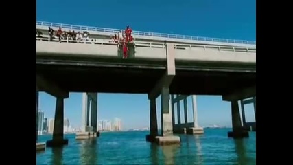 the best of jackass