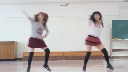 Discotheque Dance In Hd