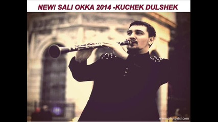 New! Sali Okka 2014 - Dulshek Kuchek ( Dj Skeleta Ofiicial )