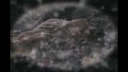 Laura Fygi - Dream a Little Dream