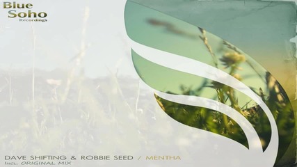 Dave Shifting and Robbie Seed - Mentha ( Original Mix )