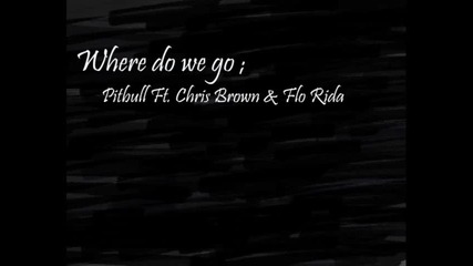Pitbull Ft Chris Brownand Flo - Rida - Where do we go 