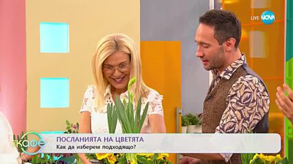 Кои цветя характеризират празника в някой страни? - „На кафе” (08.03.2023)