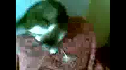 Mal4o :)
