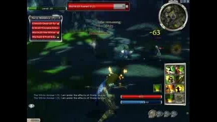 Guild Wars Пвп Рейнджър 14