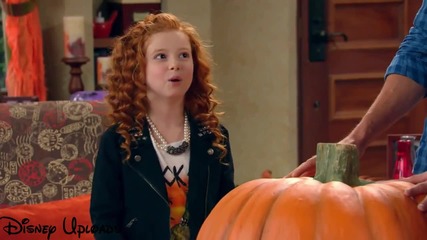 Куче с блог howloween 2- The Final Reckoning