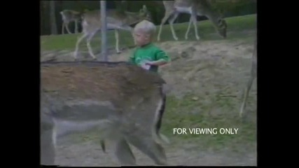 World's Funniest Videos