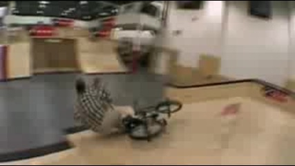 Jackass 