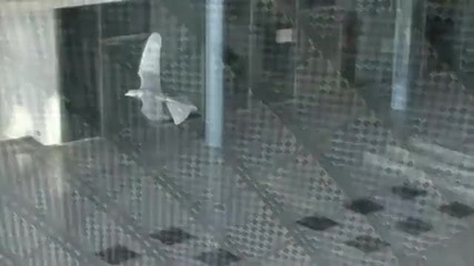ууникално птица робот