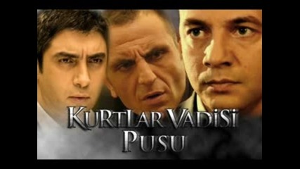 kurtlar vadisi cakir polat