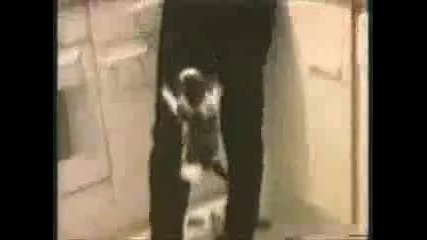 6 минути смях до скъсване не е за изпускане! d