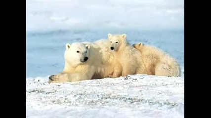 Save The World