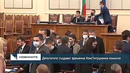 Депутатите създават временна Конституционна комисия