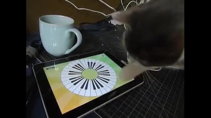 Котенце Си Играе С ipod 