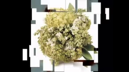 Релаксираща музика (21)