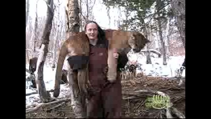 Лов на пума с кучета и лък 